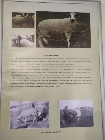 СЪБИТИЯ 11